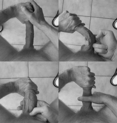 Penisflexion